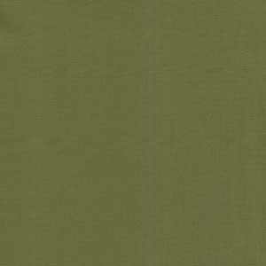 Bella Solids - Terrain Cactus by Moda