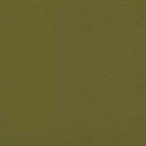 Bella Solids - Pickle by Moda