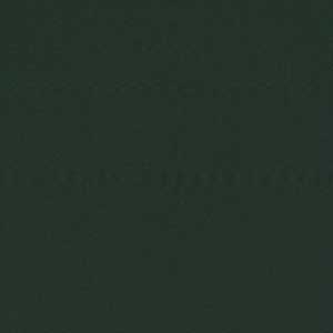 Bella Solids - Juniper by Moda