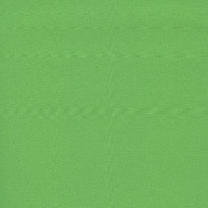 Bella Solids - Parakeet by Moda