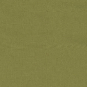 Bella Solids - Green Blender by Moda