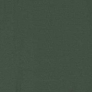 Century Solids - Green Blender by Andover