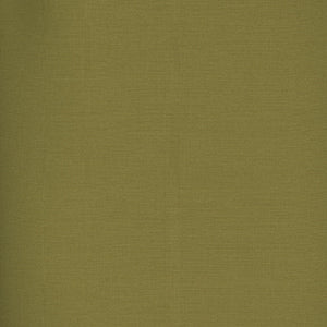Century Solids - Green Blender by Andover