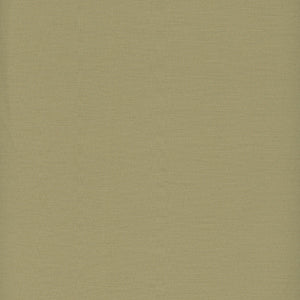 Century Solids - Green Blender by Andover