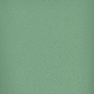 Century Solids - Green Blender by Andover