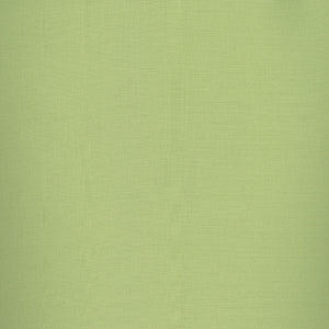 Century Solids - Green Blender by Andover