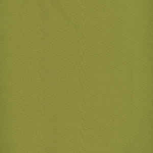 Century Solids - Green Blender by Andover