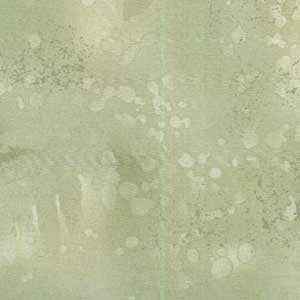 Fossil Fern - Silver Sage by Benartex