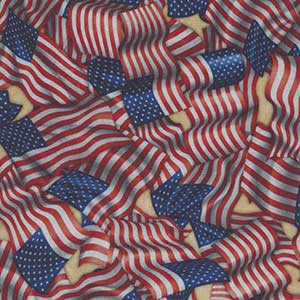 Indivisible - Multicolor Patriotic by Quilting Treasures