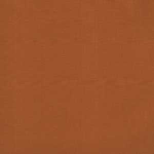 Bella Solids - Longhorn by Moda