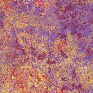 Stonehenge Gradations Mixers - Island Sun by Northcott