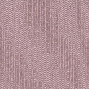 Nature Study - Pink Geometric by Windham Fabrics