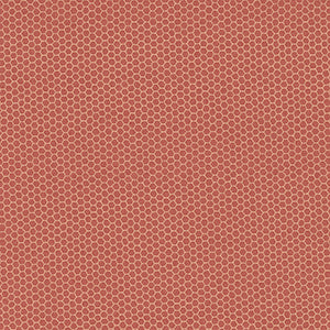 Nature Study - Pink Geometric by Windham Fabrics