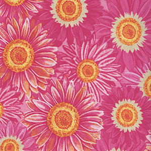 Paisley Punch - Pink Floral by Wilmington Prints