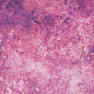 Stonehenge Gradations Mixers - Cream Soda by Northcott