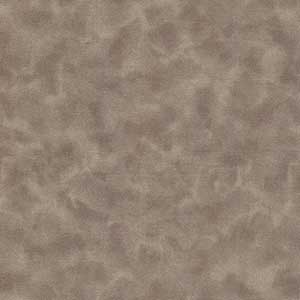 Color Dance - Khaki by Quilting Treasures
