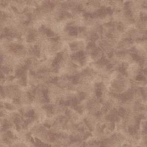 Color Dance - Light Brown by Quilting Treasures