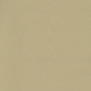 Century Solids - Sand Dollar by Andover