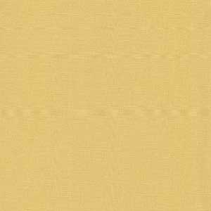 Bella Solids - Afternoon by Moda
