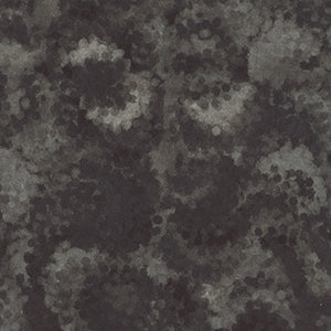 Serendipity - Black Blender 108" Wide Back by Quilting Treasures