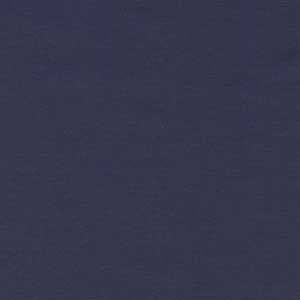Superior Solids - Blue Blender 108" Wide Back by Benartex