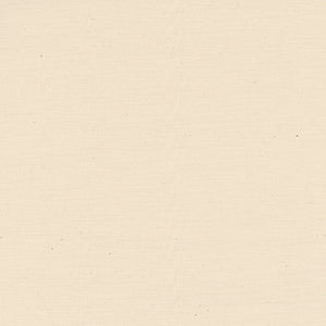 Premium Solid - Cream Blender 118" Wide Back by Quilting Treasures