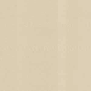 Superior Solids - Cream Blender 108" Wide Back by Benartex