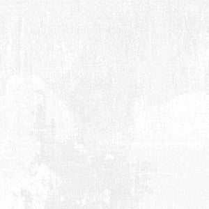 Essentials Dry Brush - Wow 108" Wide Back by Wilmington Prints
