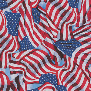 All American Flags - Red/Blue 108" Wide Back by Benartex