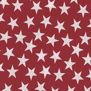 Patriotic - Red Patriotic 108" Wide Back by Quilter's Choice