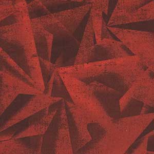 Quarry - Red Blender 108" Wide Back by Blank Quilting